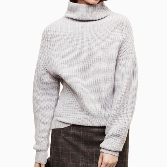 Aritzia Sweaters - ARITZIA/ WILFRED MONTPELLIER SWEATER